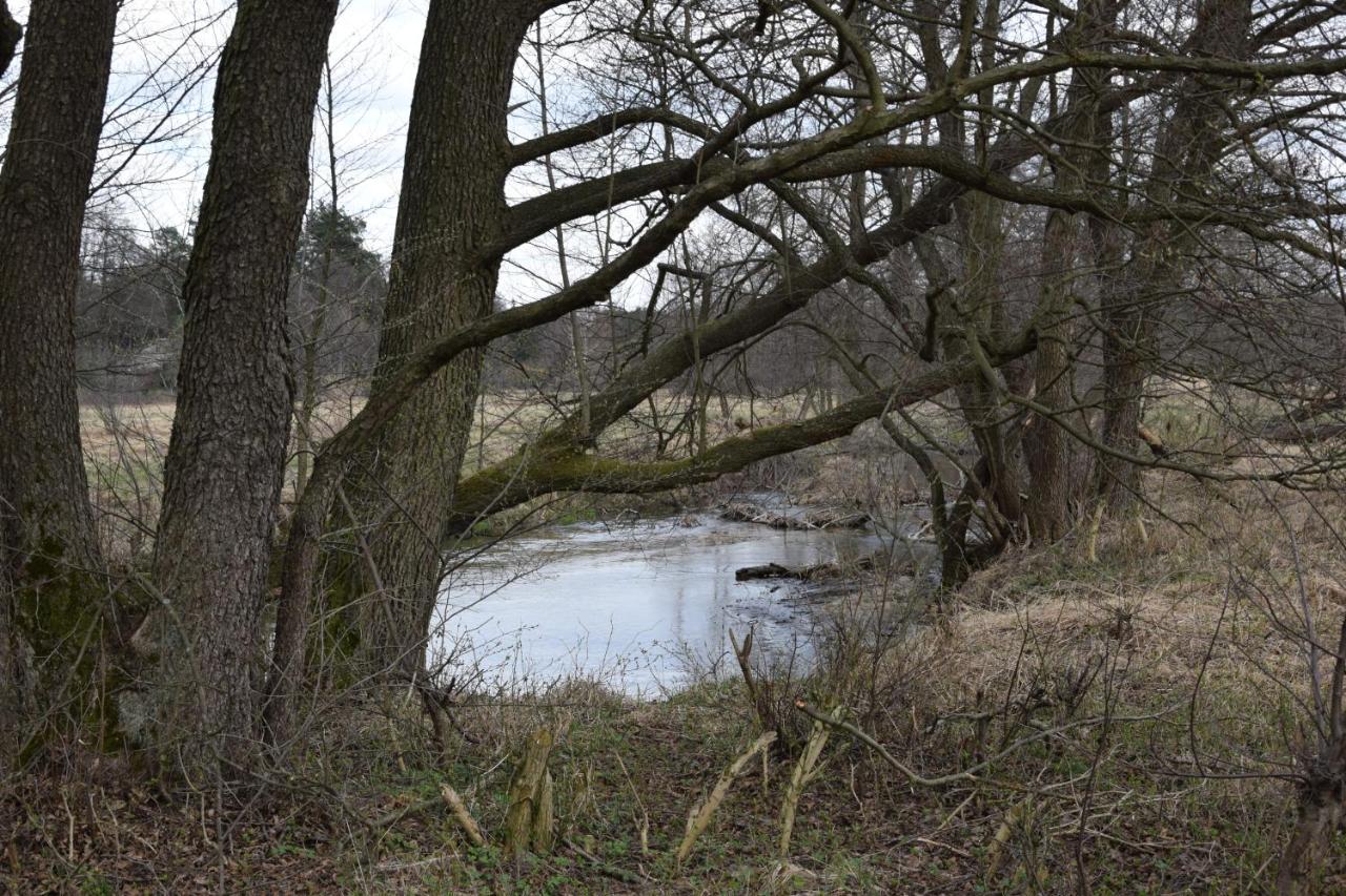 Szklane Domy Roztocze Bondyrz Exterior foto